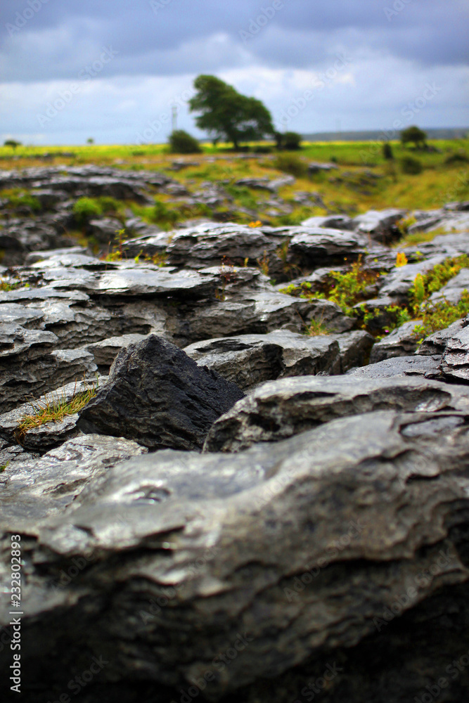 Steiniges Gelände unter wolkigem Himmel im Burren in Irland