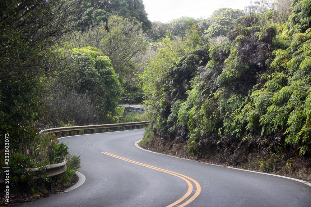 Road to Hana als kurvige Strasse mit S-Kurve zwischen Bäumen auf Maui auf Hawaii 