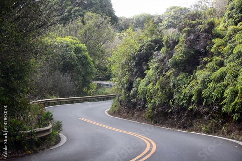 Road to Hana als kurvige Strasse mit S-Kurve zwischen Bäumen auf Maui auf Hawaii 