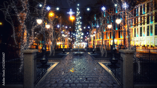 Christmas Lights in the Park