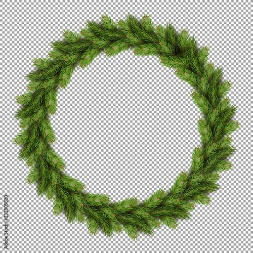 Pine tree fir spruce branch, evergreen tree twigs