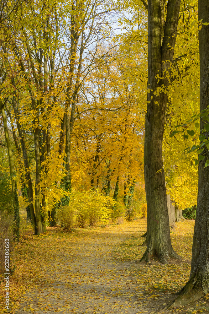 Park im Herbst