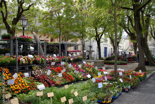 ville de Chinon, marché aux fleurs sous les arbres du centre ville, département d'Indre-et-Loire, France photo
