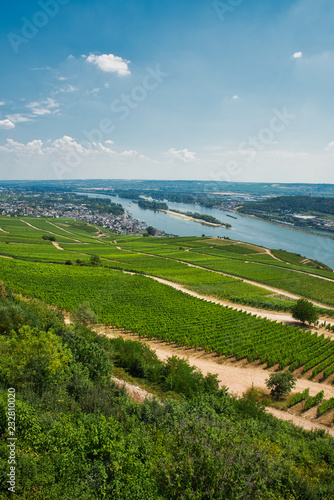 Aussicht auf Rüdesheim am Rhein in Rheinlandpfalz Deutschland
