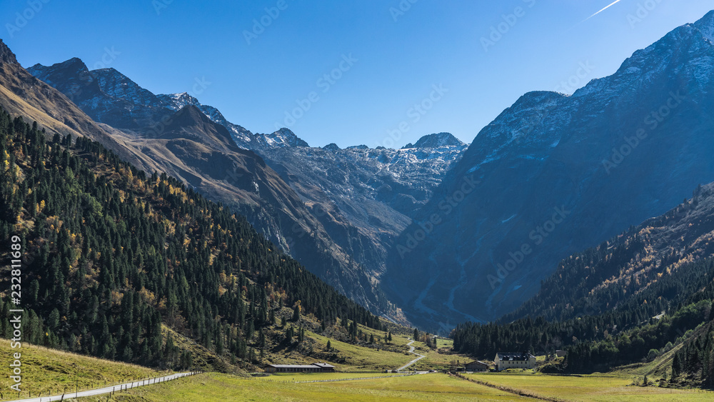 bottom of a valley with mountain view