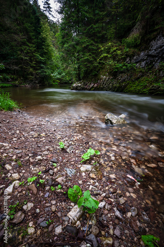 long exposure rocky mountain river in summer with high water stream level
