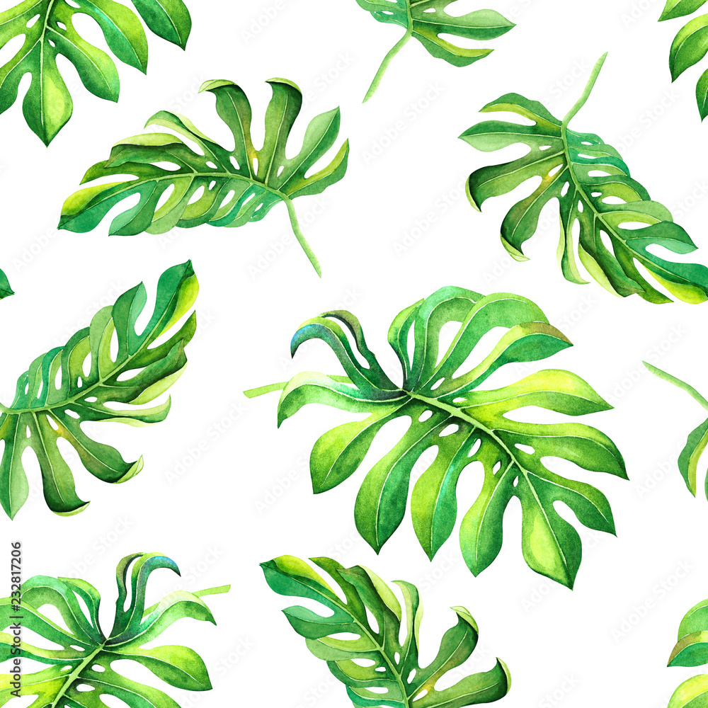 Green tropical leaves isolated on white background