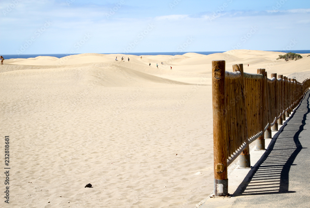 Wüste, Dünen, Maspalomas, Sträucher, Absperrung, und Gitter