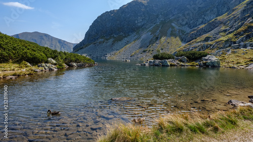 mountain lake in late summer in Slovakian Carpathian Tatra photo