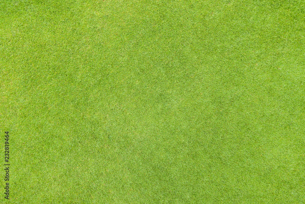 Golf fairway grass texture top view