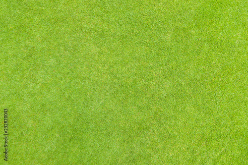 Golf puttin green grass texture top view