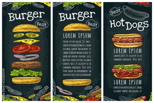 Hotdog with tomato, mustard, leave lettuce, burger with flying ingredients.