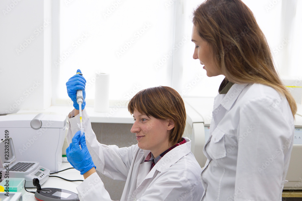 scientist working at the laboratory