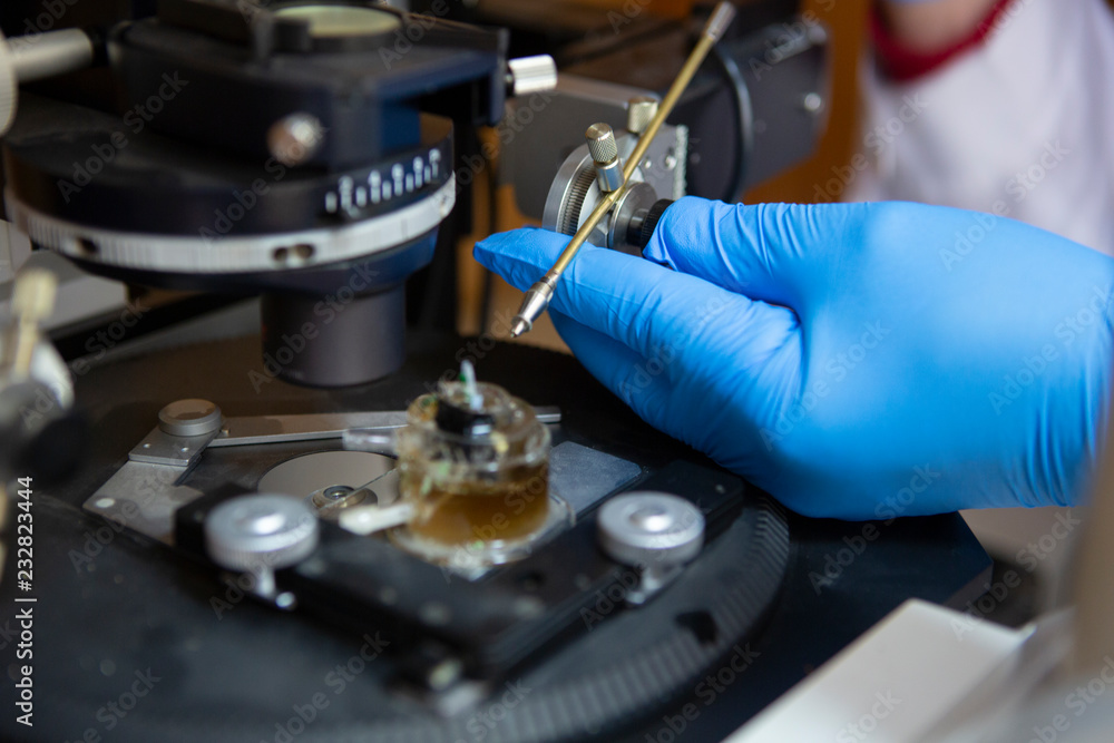 Naklejka premium scientist working at the laboratory