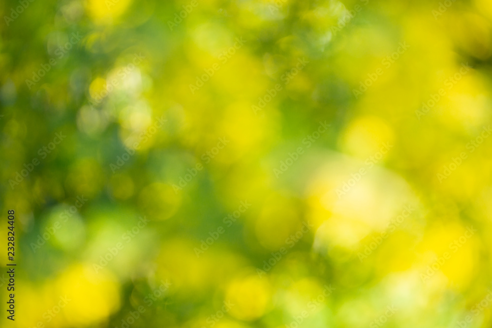 Green and yellow spring bokeh background