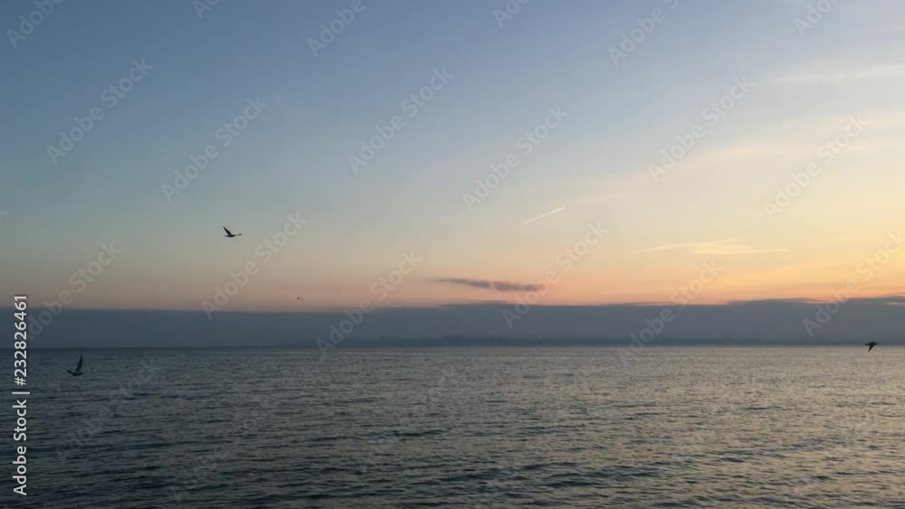 Sunset at sea with narrow line of the city far away. Seagulls are flying Sunset at sea with narrow line of the city far away. Seagulls are flying