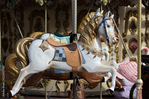 Cheval dans un manege