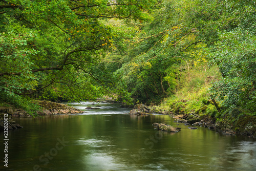 Stunning lush green riverbank with river flowing slowly past calm landscape