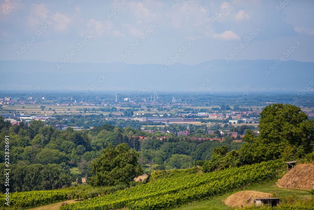 Landscape view to vineyards in rural southern Germany at sunny day. Europa park and France far away