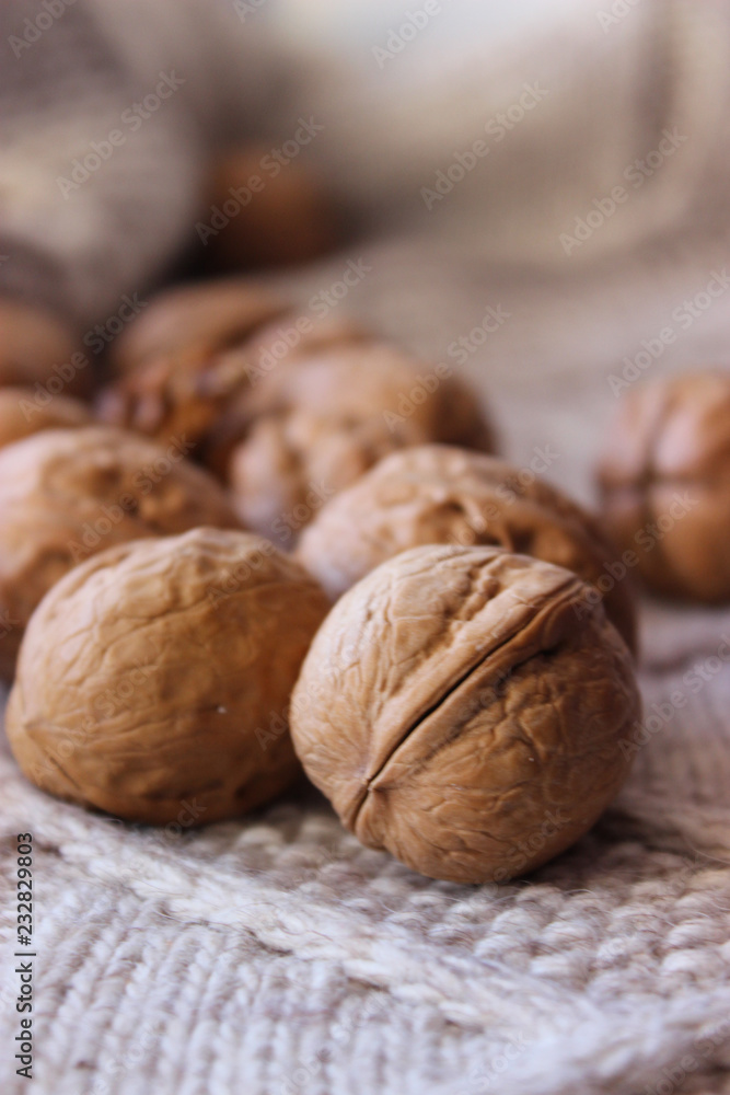 walnuts in season walnuts in season