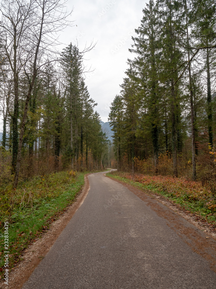 Obraz premium Walking path in garden