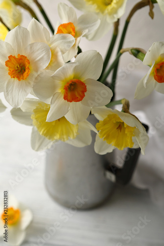 Spring narcissus flowers
