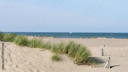 Small dune and grass on the beach of Malo les bains, in the city of Dunkirk, in the north of France. Sunny day. Sailboat in the water, in the background.