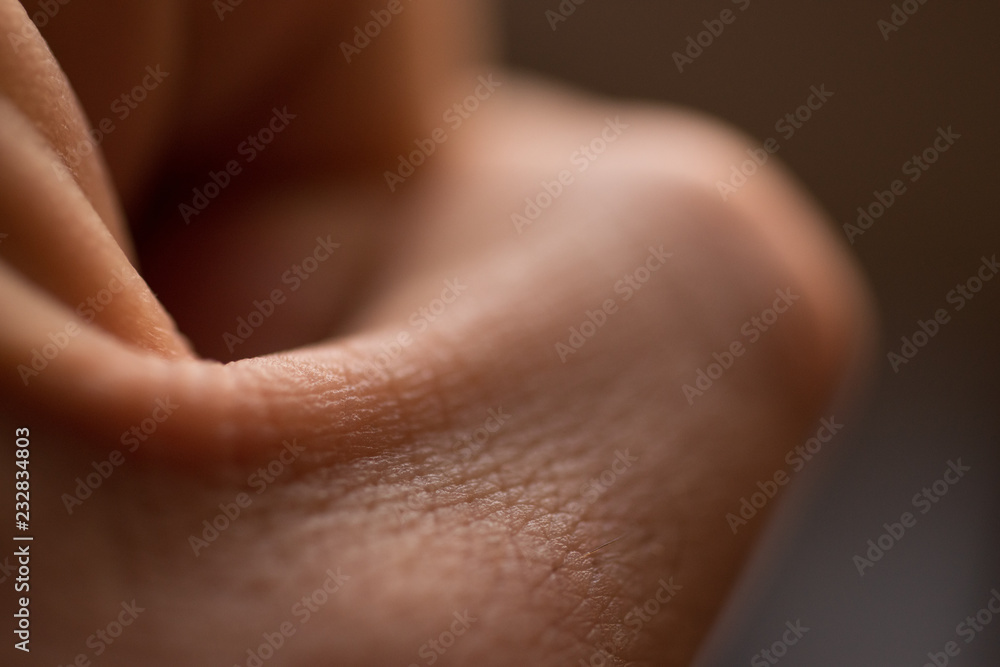 Fototapeta premium Soy un paquidermo