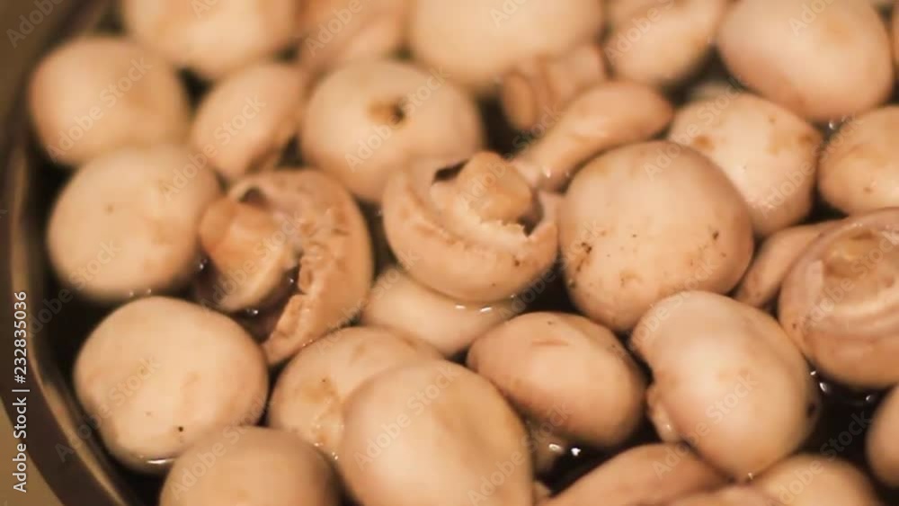 vegetables, white mushrooms mushrooms lie in the water vegetables, white mushrooms mushrooms lie in the water