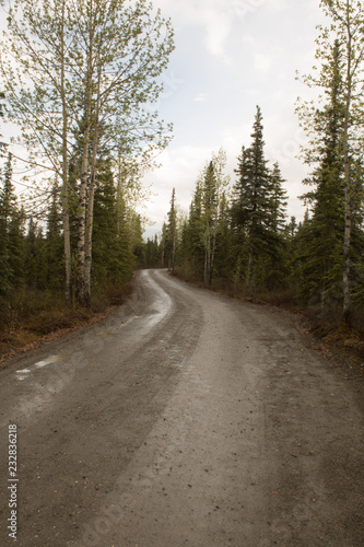 dirt road in Denali National Park Alaska