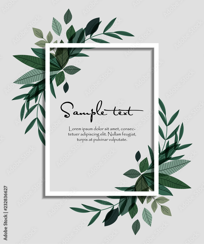 Vector illustration of decoration leaves. Nature background with a text frame