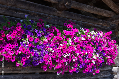 Baita con fiori in alto adige