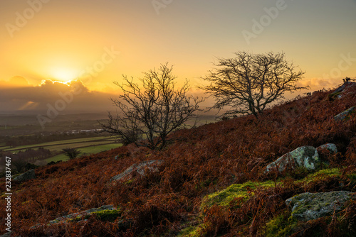 Sunrise over the moors in the Autumn, with a golden sky , Caradon Hill, Cornwall, UK