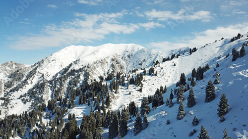 Above the clouds in the snowy mountains. Growing green spruce. Ate covered with snow. Clouds below us. Shooting with the drone. Blue skies. The snowy tops of the peaks. Great cloud. Mountain gorge.