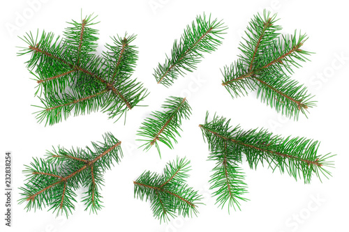 Fir tree branch isolated on white background. Christmas background. Top view
