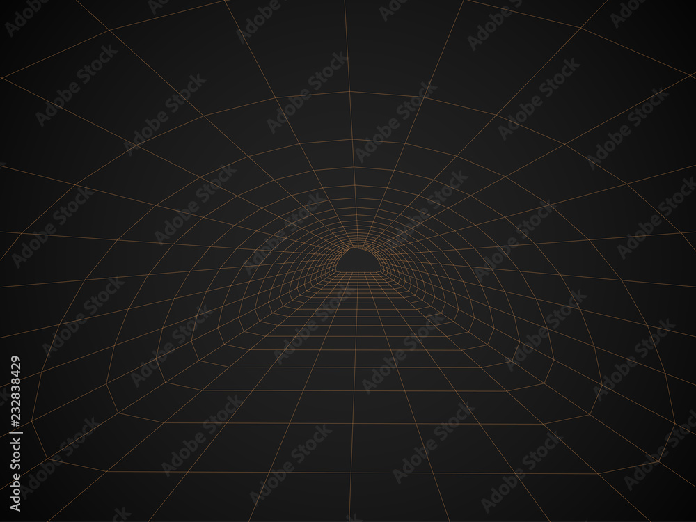 Obraz premium Digital 3d wireframe tunnel. Vector abstract background.