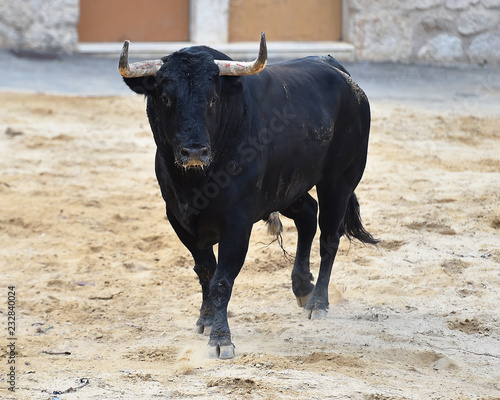 toro peligroso en españa