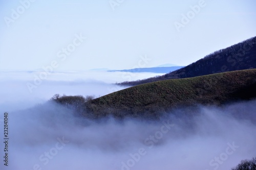 fog in mountin