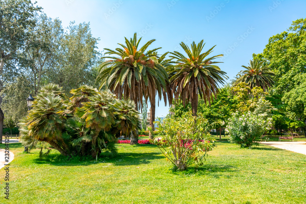 Ciutadella park landscape, Barcelona, Spain Ciutadella park landscape, Barcelona, Spain