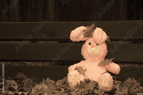 Lonely forgotten abandoned teddy toy bunny rabbit sat on a wooden bench covered with autumn leaves.  (sepia effect)