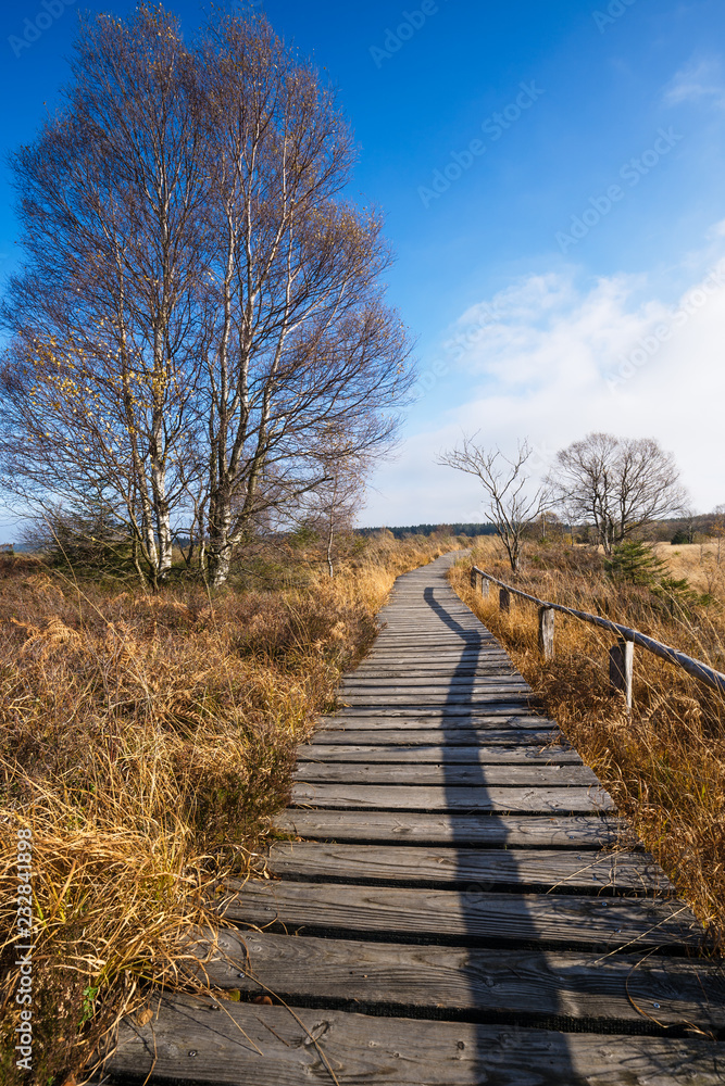 grating trail in yellow high grass