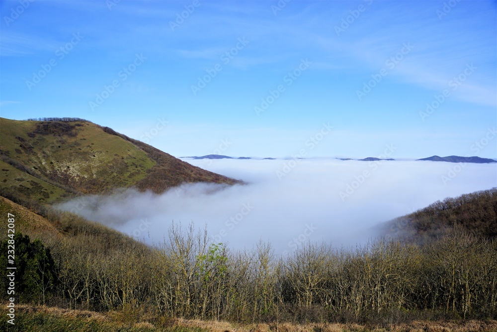 fog in the mountin