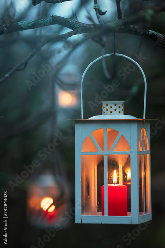 Lanterns hanging from tree branches. Selective focus and shallow depth of field.