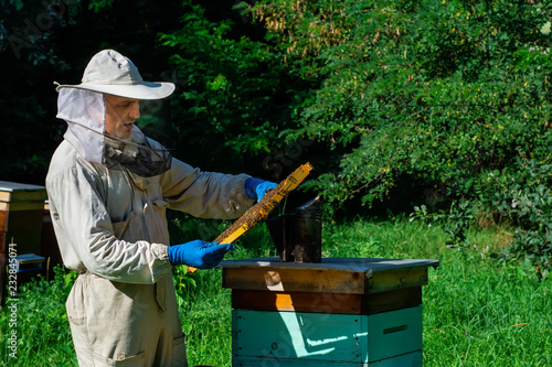 Beekeeper on apiary. Beekeeper is working with bees and beehives on the apiary. Apiculture concept