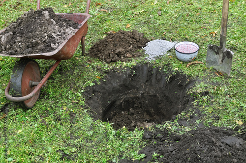 landing pit ready for planting fruit tree sapling, black earth,wheelbarrow,shovel,manure,fertilizer,ash