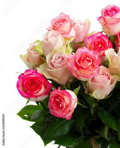 Rose fresh flowers bouquet in two shades of pink close up isolated on white background