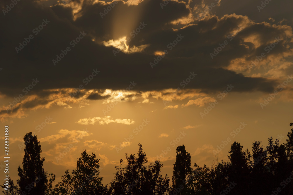 Dark clouds with sun rays and tree beams