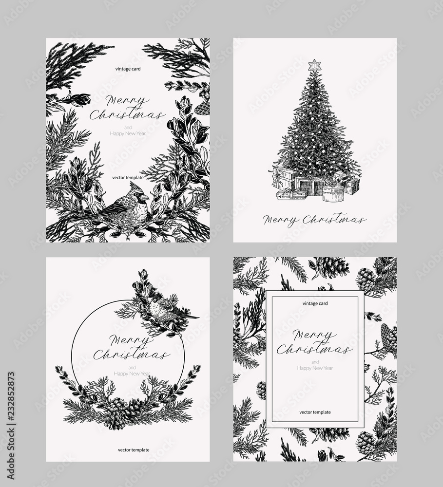 Christmas card set in vintage style. Hand drawn botanical collection of greeting template for winter holidays.
