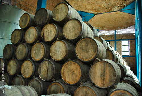 Barrels full of tequila in a warehouse