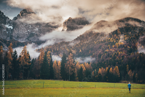 Fototapeta Naklejka Na Ścianę i Meble -  Autumn forest rocks landscape, Deep autumn forest rocks background. Autumn forest rocks trail view